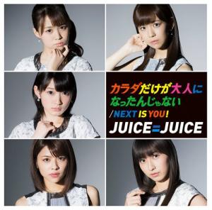 Next is you ! / Karada dake ga Otona ni Nattanjanai (limitée Type D)